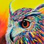 Crazy_owl_coloring