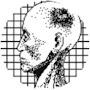 Alexander Arkusha