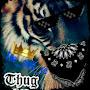 Niga7704