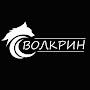 Александр Волков