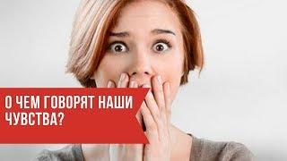 Кто рассказать чувство. Междометные фразеологизмы. Говори о своих чувствах. Кто рассказать чувство. Цель химии.