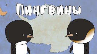 Пингвины - Мудреныч (Добро пожаловать в Антарктиду)