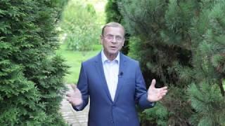 Ефимов В.А. Кощеева игла концептуальной власти