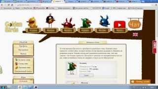 Golden Birds лохотрон или нет решать Вам !?